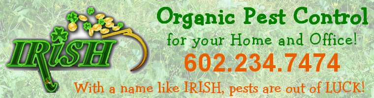 Irish Organic Pest Control - Surprise, Phoenix, Arizona